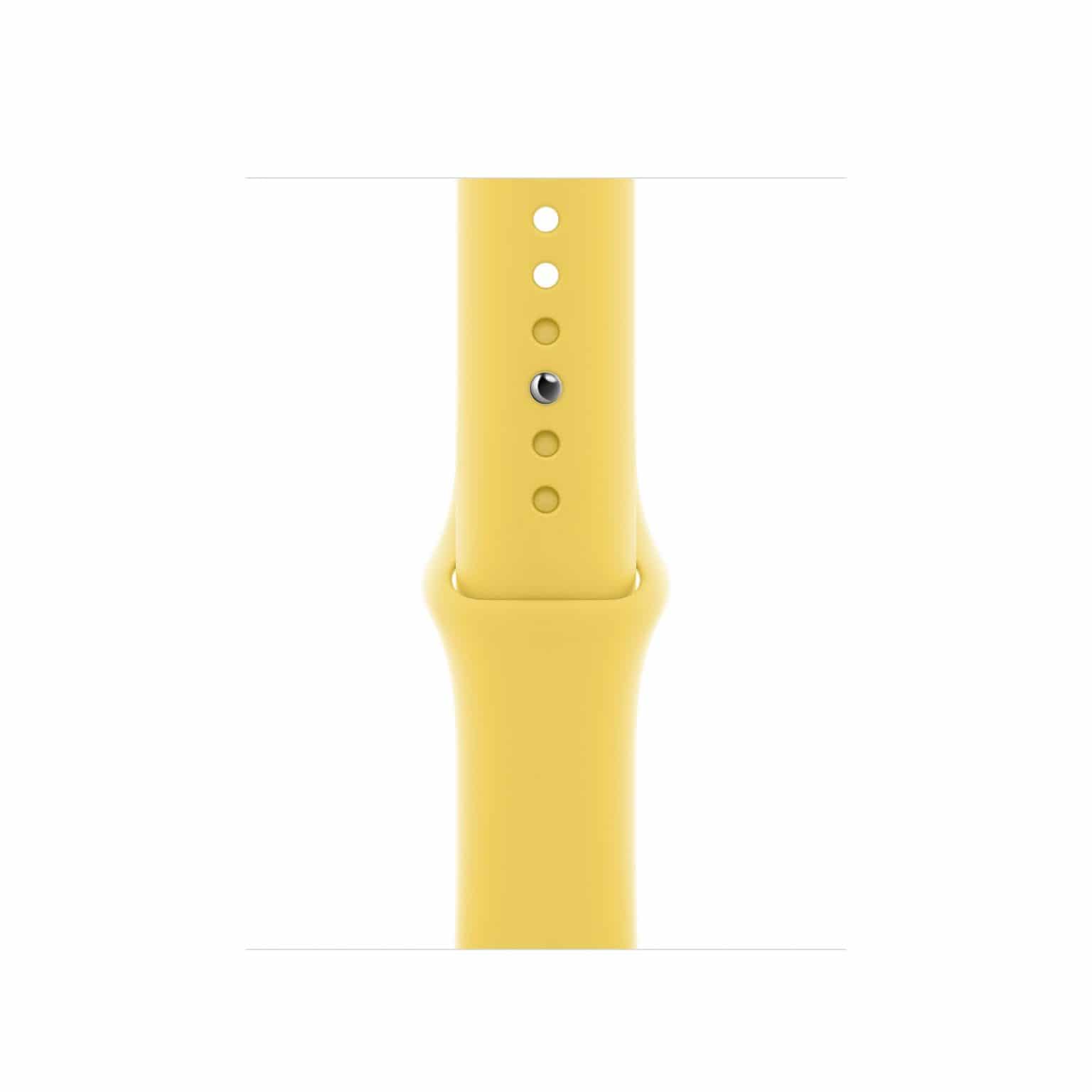 Sport Band End of Life Colours | Sync