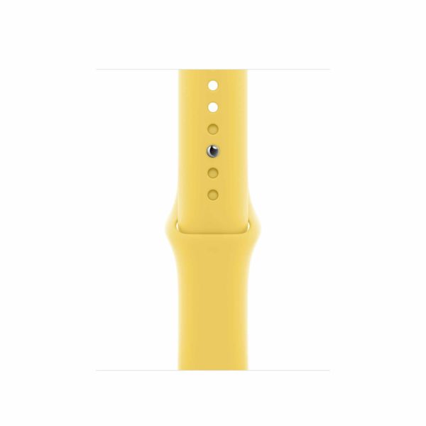 sport band ginger