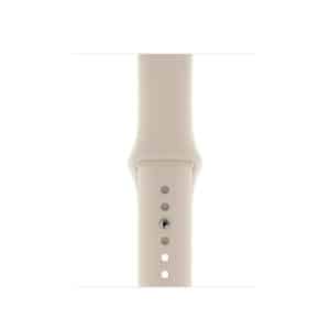 apple series 5 gold stainless steel