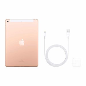 iPad 7th Gen - gold back
