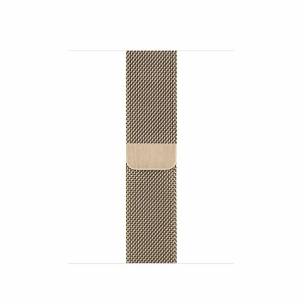 apple series 6 milanese loop
