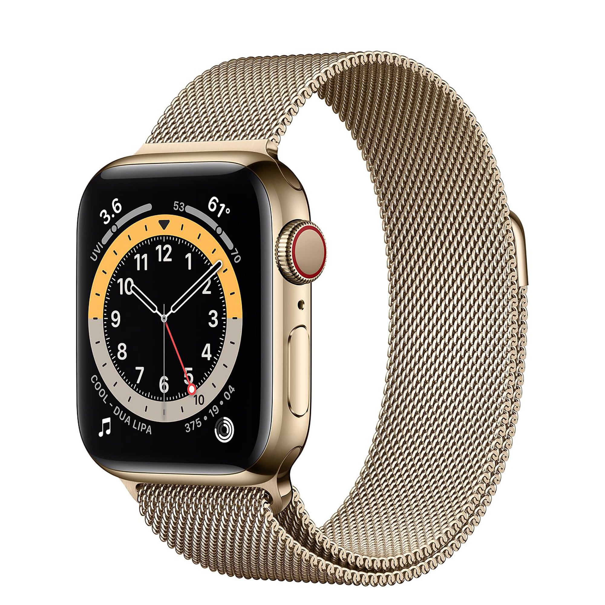 Apple Watch Series 6 Gold Stainless Steel Case with Gold Milanese Loop - Sync Store