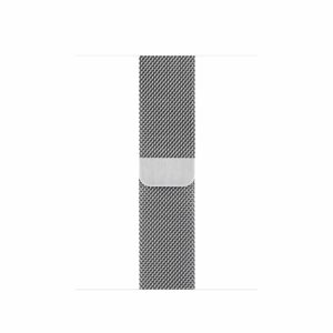 Apple Watch Series 6 Silver Stainless Steel Case with Silver Milanese Loop