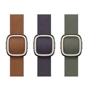 Modern Buckle